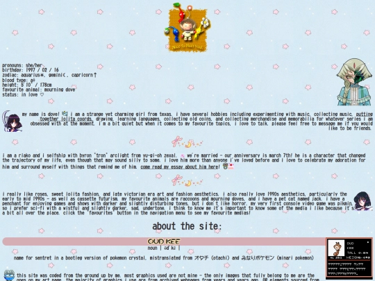 webmaster screenshot