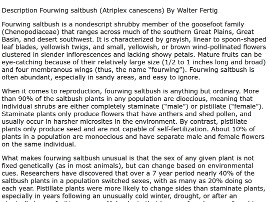 fourwingsaltbush screenshot