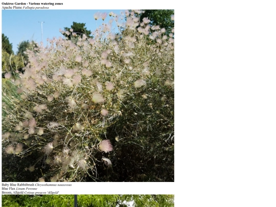 oaktree screenshot
