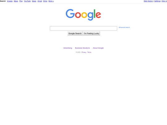 google screenshot