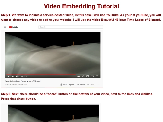 VIDEOEmbeddingTutorial screenshot
