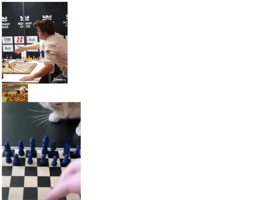 gifs screenshot