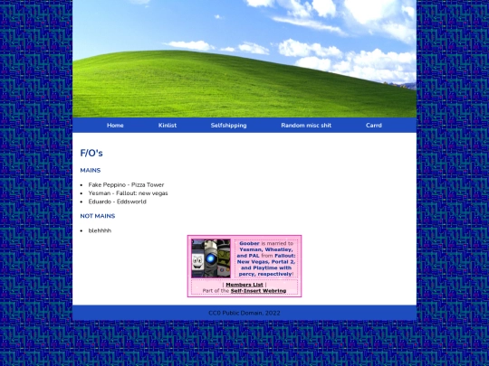 selfship screenshot
