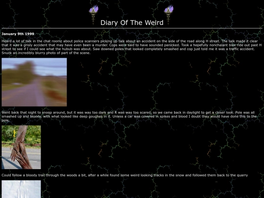diary screenshot