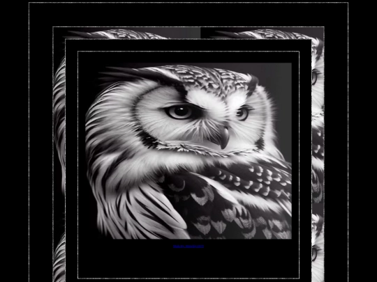 ANIMAL PAGES/OWL PAGE 8 screenshot