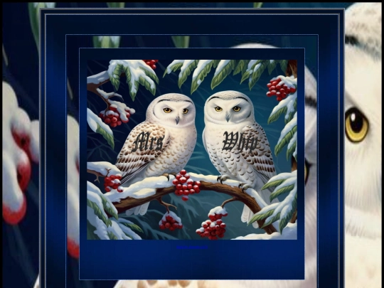 ANIMAL PAGES/OWLPAGE7 screenshot
