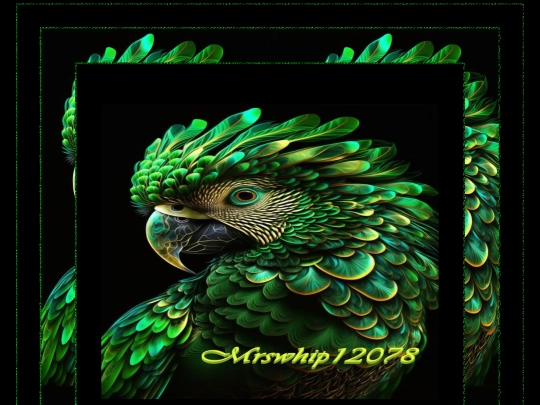 ANIMAL PAGES/PARROT PAGE 1 screenshot