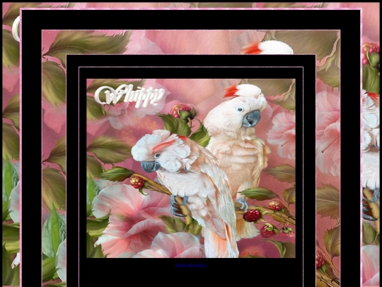 ANIMAL PAGES/PARROT PAGE 3 screenshot