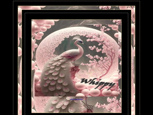ANIMAL PAGES/PEACOCK PAGE 2 screenshot