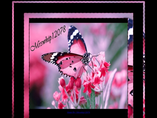 BUTTERFLY PAGES/BUTTERFLY PAGE 10 screenshot