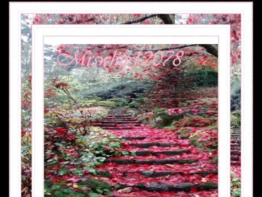 NATURE PAGES/NATUREPAGE4 screenshot