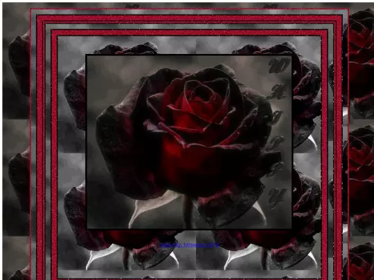 ROSES/ROSE tour 2 screenshot