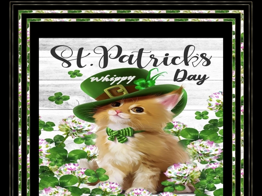 ST PATRICKS PAGES/ST PATTS 2 screenshot