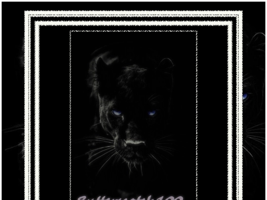 STAFF PAGES/butterscotchpage2 screenshot