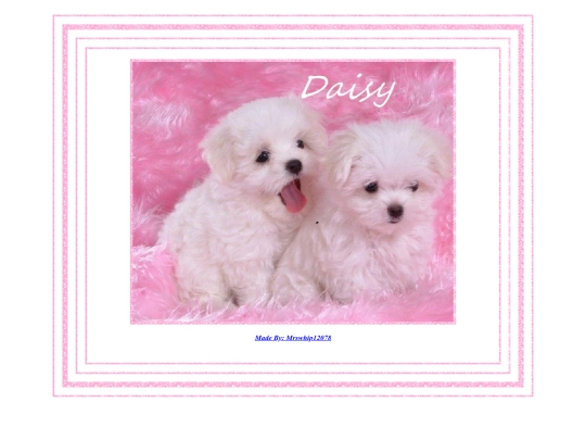STAFF PAGES/daisypage2 screenshot