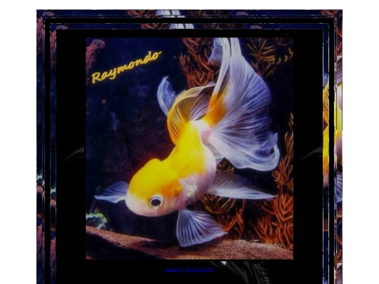 STAFF PAGES/raymondopage1 screenshot