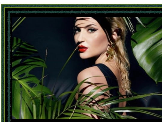TOURNEY PAGES /jungle screenshot