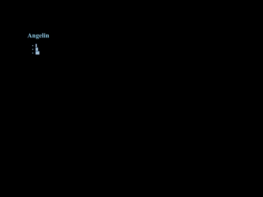 angelin screenshot