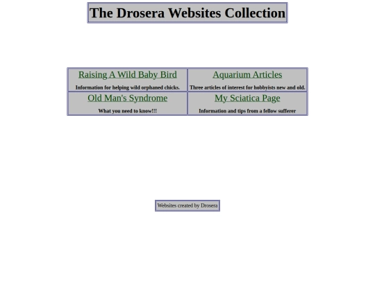 index.html screenshot
