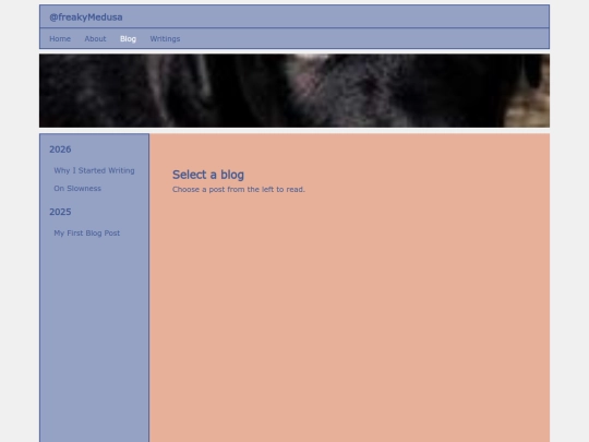 blog screenshot