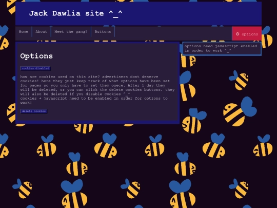 options screenshot