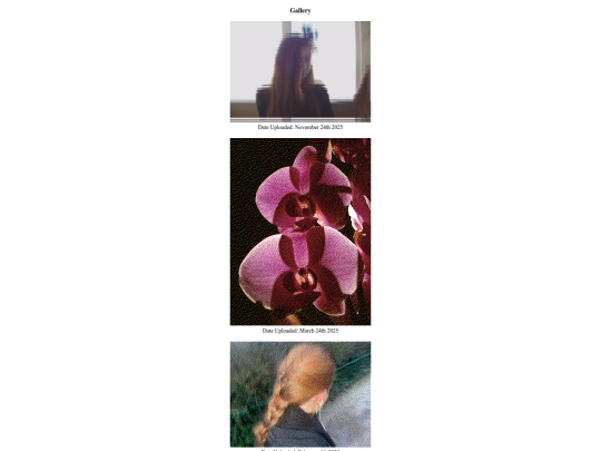 gallery screenshot