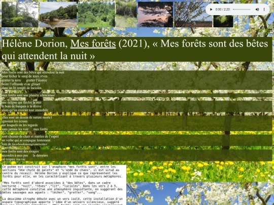 page5 screenshot