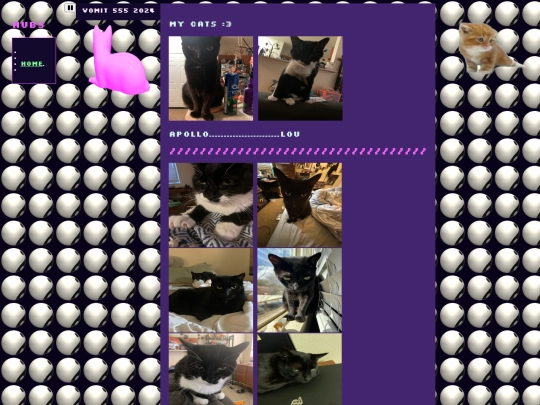 mycats screenshot