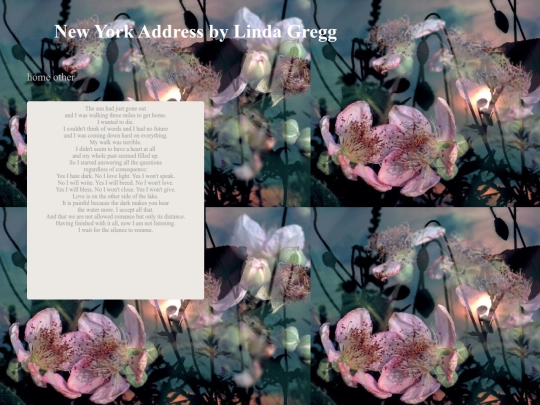 newyorkaddresslg screenshot
