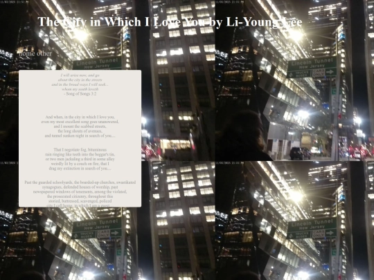 thecityinwhichiloveyoulyl screenshot