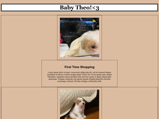 flexpage screenshot