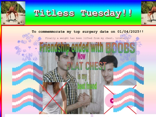 trans screenshot