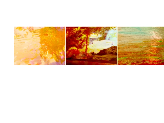 project3 screenshot