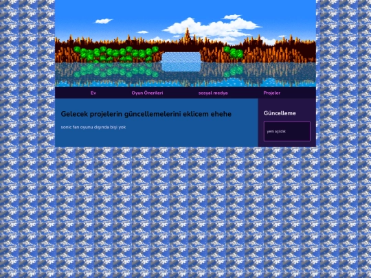 projeler screenshot