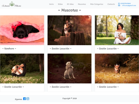 Pets screenshot