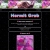 hermitcrab.yorniq.xyz avatar
