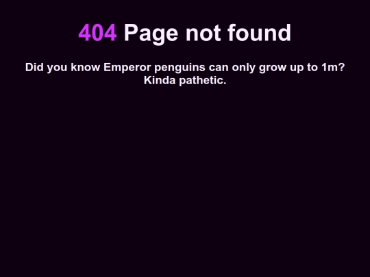 not_found screenshot