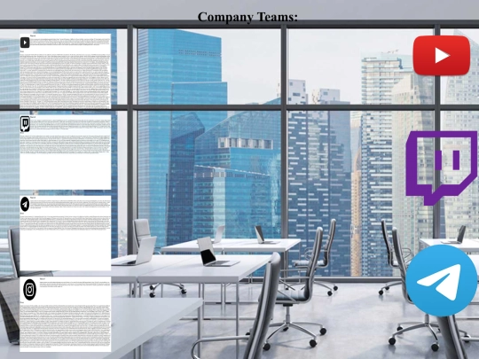 company screenshot