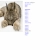 dotcomboom.yorniq.xyz avatar