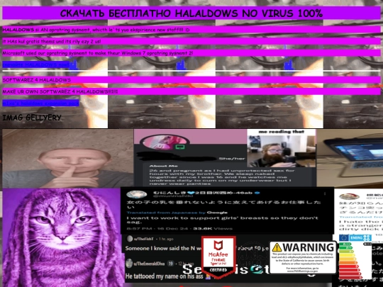 halaldows/beta1home screenshot
