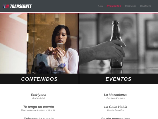 proyectos screenshot
