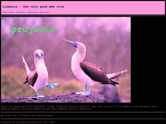 projects screenshot