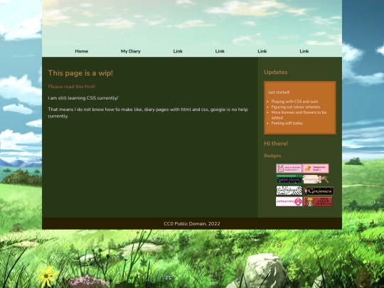 diary screenshot