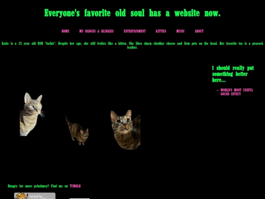 kitties screenshot