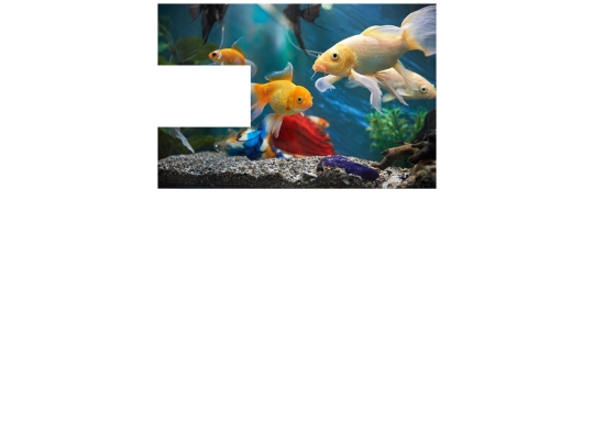 flexiblepuzzleassignment screenshot