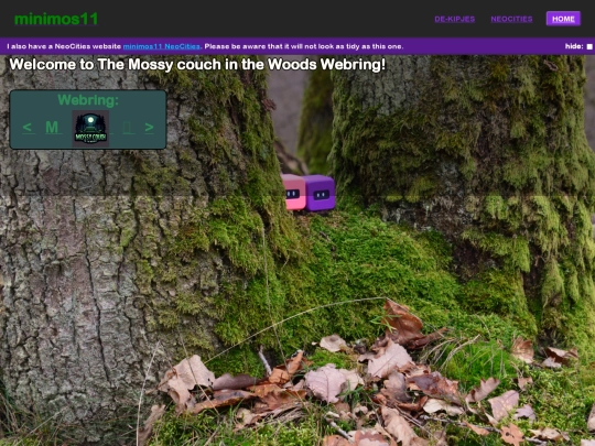 webring/webring screenshot