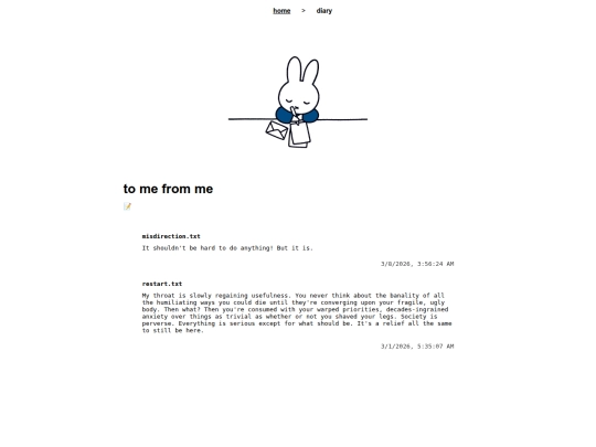 diary screenshot