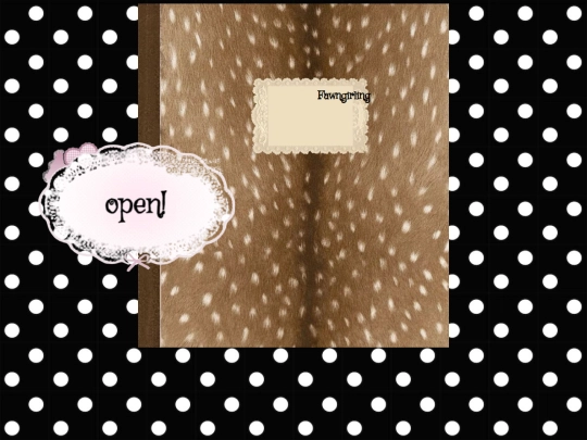notebookcover screenshot