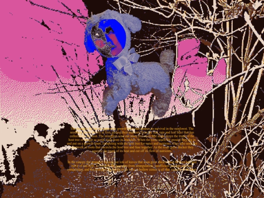 filigree screenshot