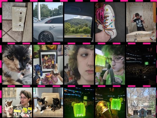 favorites-links/pictureshome screenshot